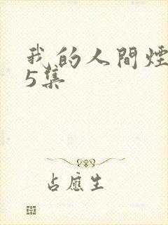 我的人间烟火35集