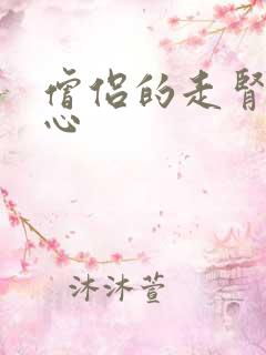 僧侣的走肾不走心