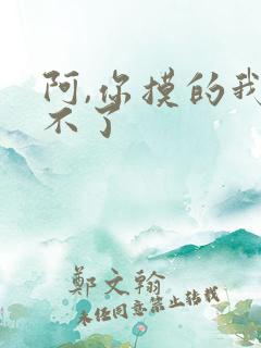 阿,你摸的我受不了