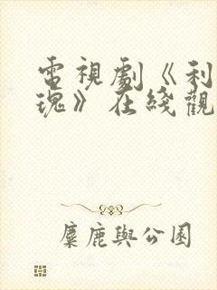 电视剧《利剑玫瑰》在线观看全集免