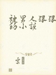 被男人狠狠插入的小说