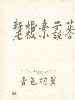 新婚妻子芷珊菜老板小说合集