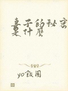 妻子的秘密结局是什么