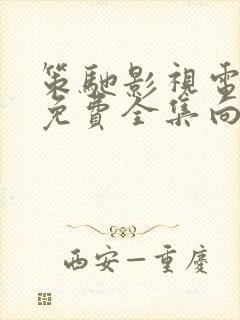 策驰影视电视剧免费全集向风而行