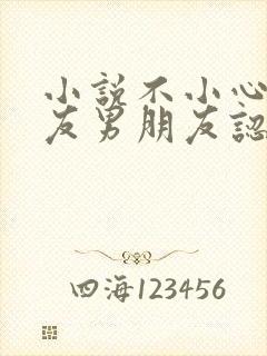 小说不小心被室友男朋友认错