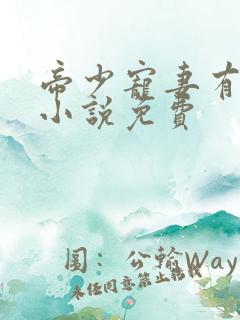 帝少宠妻有点甜小说免费