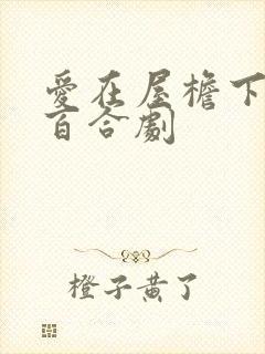 爱在屋檐下泰剧百合剧