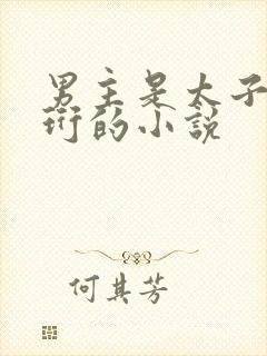 男主是太子叫萧珩的小说