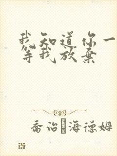 我知道你一直在等我放弃