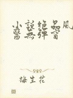 小说绝品风流狂医无弹窗