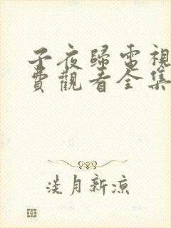 子夜归电视剧免费观看全集高清.6