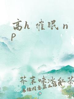 高h 催眠 np