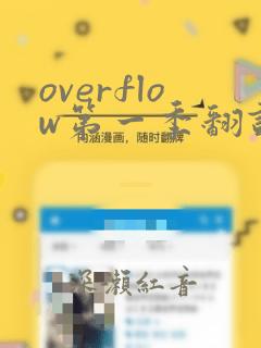 overflow第一季翻译漫画：结局+番外
