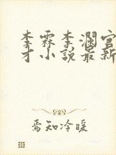 李霖李澜官场奇才小说最新更新