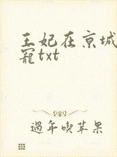 王妃在京城当团宠txt