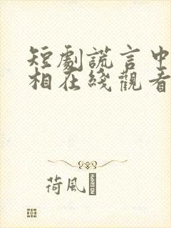 短剧谎言中的真相在线观看