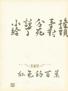 小说分手后我嫁给了死对头的前男友全文