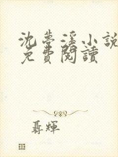 沈梦溪小说全文免费阅读