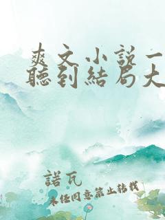 爽文小说一口气听到结局大女主