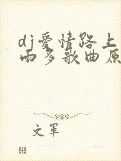 dj爱情路上风雨多歌曲原唱