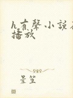 h有声小说在线播放