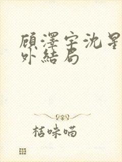 顾泽宇沈星晚番外结局