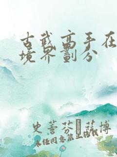 古武高手在都市境界划分