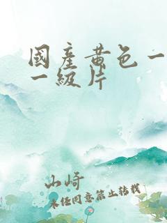 国产黄色一级片一级片