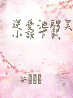 逆爱池骋吴所畏小说下载