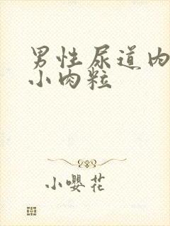 男性尿道内口长小肉粒