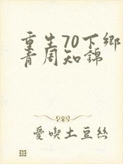 重生70下乡知青周知锦