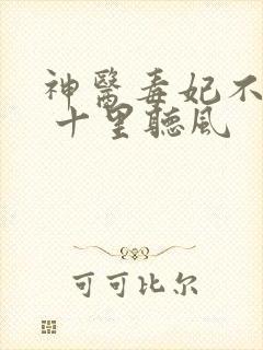 神医毒妃不好惹 十里听风