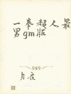 一拳超人最强之男gm版