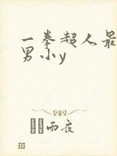 一拳超人最强之男小y
