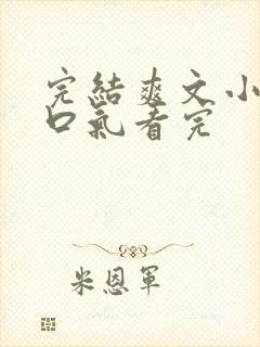 完结爽文小说一口气看完