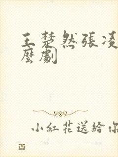 王楚然张凌赫什么剧