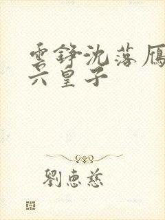 云铮沈落雁无敌六皇子