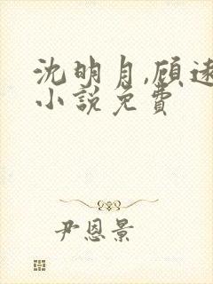 沈明月,顾远舟小说免费