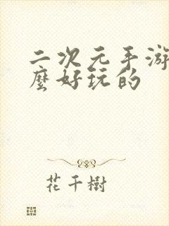 二次元手游有什么好玩的