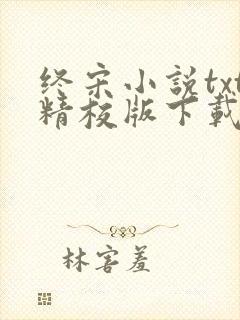 终宋小说txt精校版下载