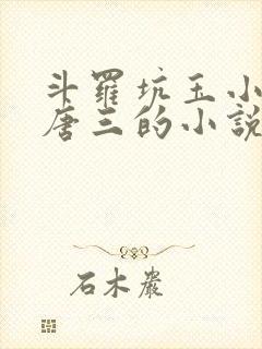 斗罗坑玉小刚和唐三的小说