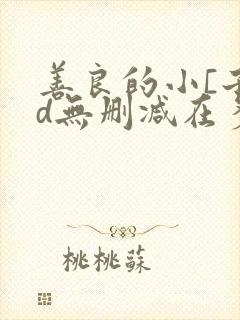 善良的小[子hd无删减在多少集