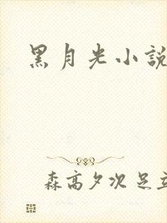 黑月光小说推荐