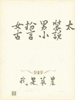 女扮男装太监的古言小说