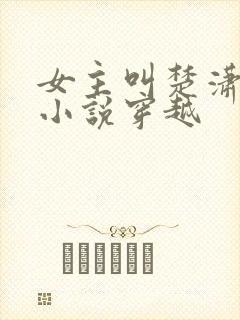 女主叫楚潇潇的小说穿越