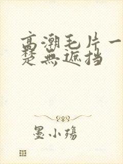 高潮毛片一清二楚无遮挡