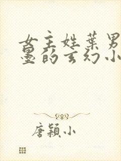 女主姓叶男主姓墨的玄幻小说