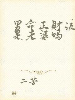 男命正财流年才是老婆吗