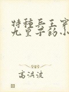 特种兵王穿越成九皇子的小说