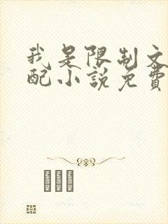 我是限制文的女配小说免费阅读